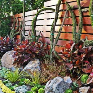 San Diego McCullough Landscape Architecture