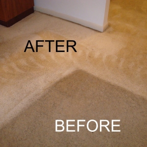 Photo of ALL CLEAN!, LLC