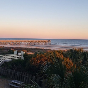 Photo of Island Realty