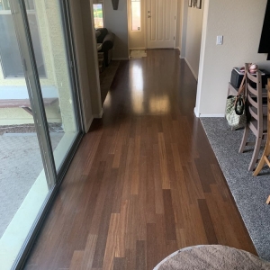 Photo of Removal Tech