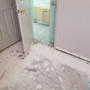 Photo of Removal Tech