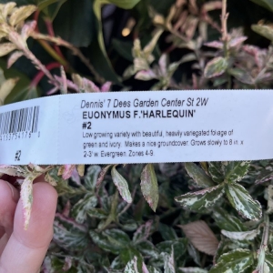 Photo of Dennis' 7 Dees Garden Center