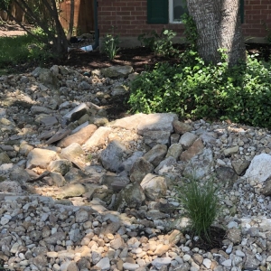 San Antonio Davis GardenCraft