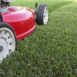 Photo of A1 Lawn & Ground Maintenance