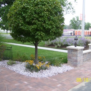 Photo of O'Keefe Landscaping