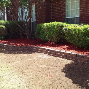 Photo of Lone Star Lawn Care