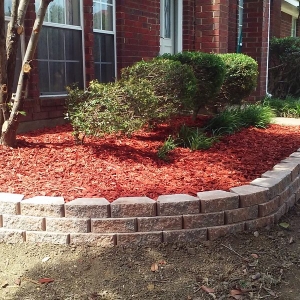 Photo of Lone Star Lawn Care