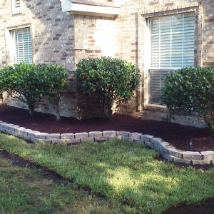 Photo of Lone Star Lawn Care