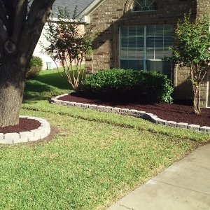 Photo of Lone Star Lawn Care