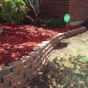 Photo of Lone Star Lawn Care