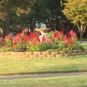 Photo of East Coast Drainage & Landscaping