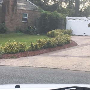 Photo of East Coast Drainage & Landscaping