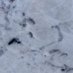 Photo of Newark Marble and Granite