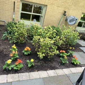 Photo of Greenwise Organic Lawn Care