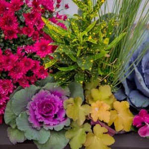 Photo of Greenwise Organic Lawn Care