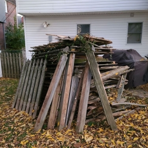 Photo of Who Has Junk