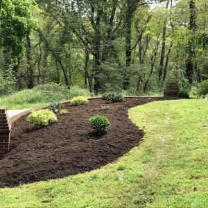 Latrobe Perennial Yard
