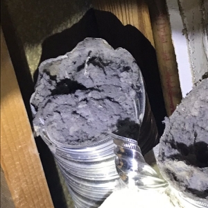 Photo of Amen Chimney and Dryer Vent Services