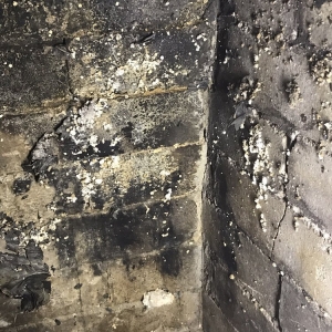 Photo of Amen Chimney and Dryer Vent Services