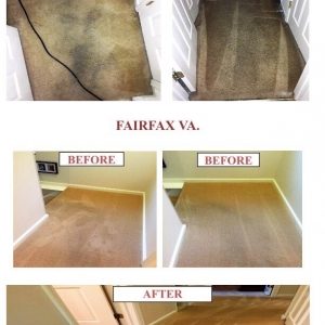 Photo of Premium Service Restoration