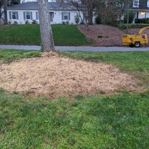 Photo of Simple Stump