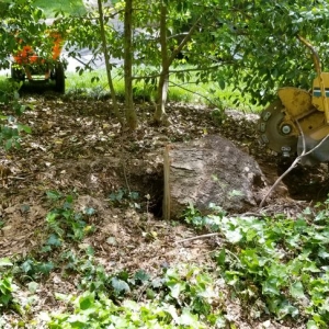 Photo of Simple Stump