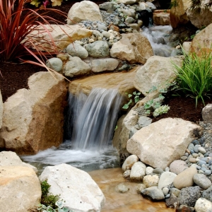 Photo of Oasis Outdoor Environments