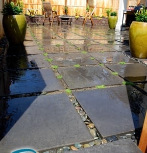 Photo of Oasis Outdoor Environments
