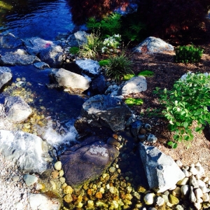 Photo of Oasis Outdoor Environments