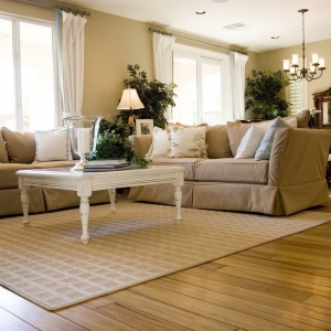 Photo of Cleaning of Homes and Offices