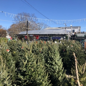 Photo of The Gardeners Market