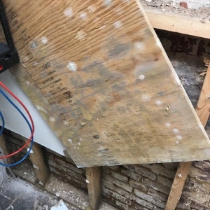 Photo of Rapid Response Restoration