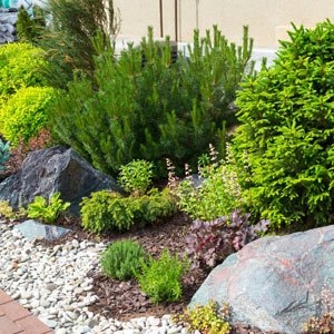 Photo of Hardscape & Landscape Masters