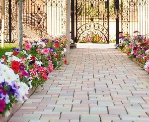Photo of Hardscape & Landscape Masters
