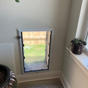 Photo of Pet Independence