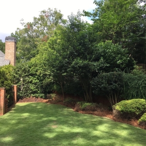 Photo of Vida Landscape