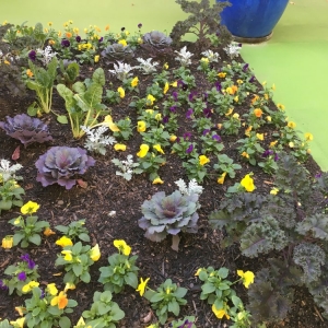 Photo of Vida Landscape