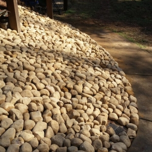 Photo of Vida Landscape