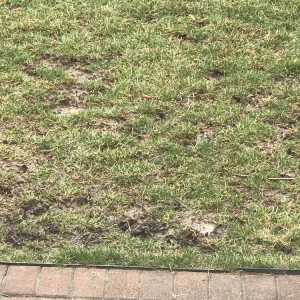 Photo of NexGreen