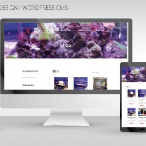 Photo of Hahn Design Studio