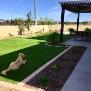 Photo of Borders & Beyond Landscaping