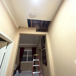 Photo of All Dry Services - San Diego