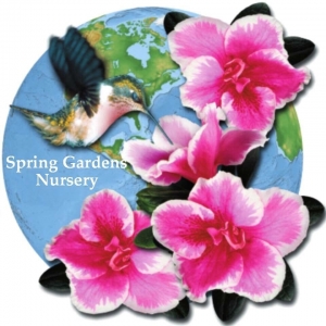 Photo of Spring Gardens Nursery