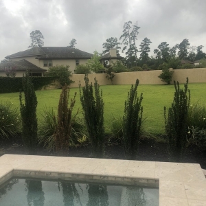 Photo of Spring Gardens Nursery