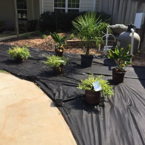 Photo of BuGLe Lawn & Landscape Design