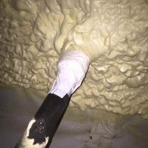 Photo of Carolina Foam Pro's