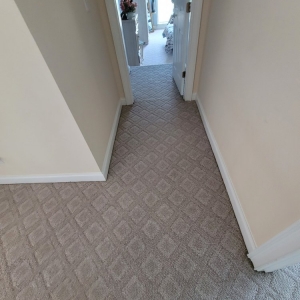 Photo of Ultimate Carpet Cleaning