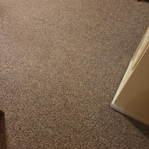 Photo of Ultimate Carpet Cleaning