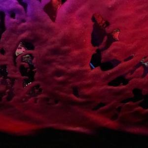 Photo of Fastpass Car Wash and Gas