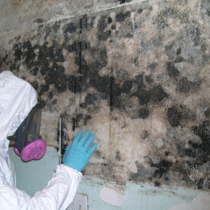 Photo of Orange Restoration - San Diego